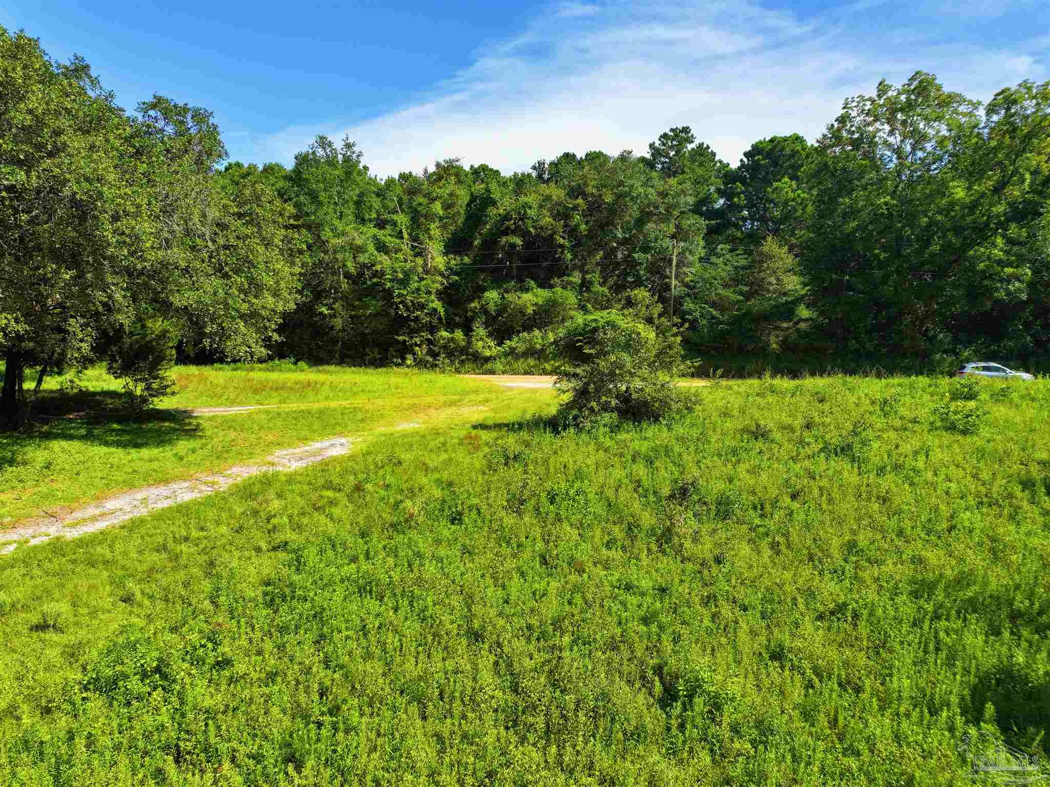 1647 Holmes Road Westville, FL 32464 - Photo 9 of 40