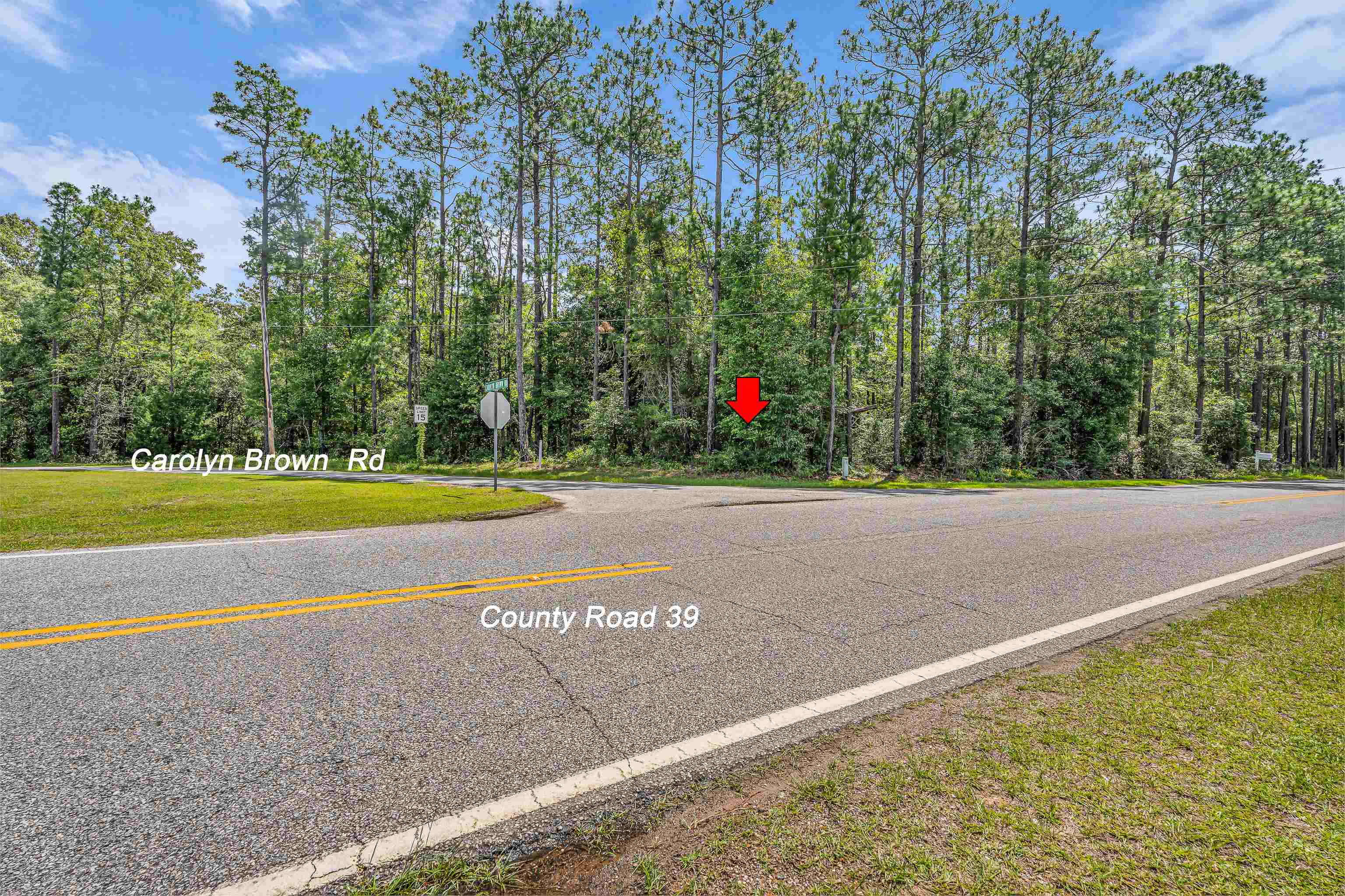 39 County Road 39 Stapleton, AL 36578 - Photo 3 of 16 Community