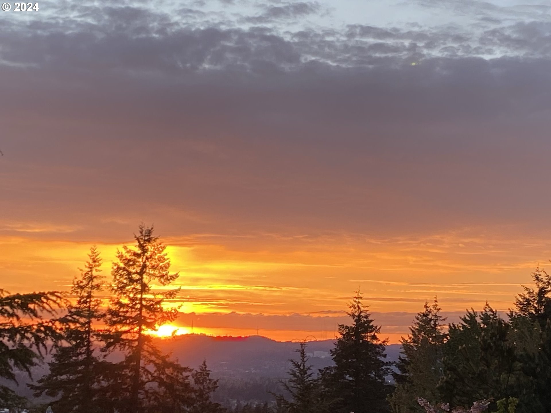 10561 Southeast Idleman Road Happy Valley, OR 97086 - Photo 42 of 43 Gallery Image 42