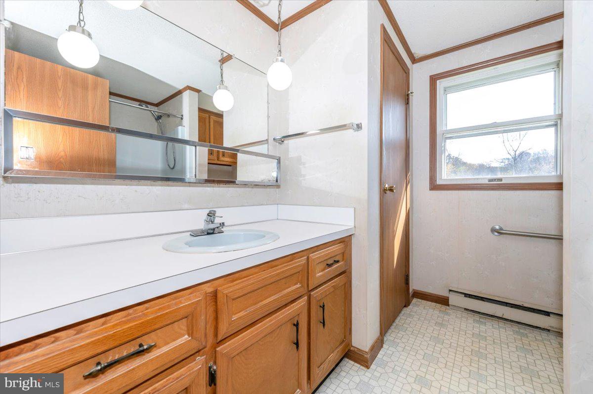 29007 Ridge Road Mount Airy, MD 21771 - Photo 30 of 50 a bathroom with a sink and a mirror
