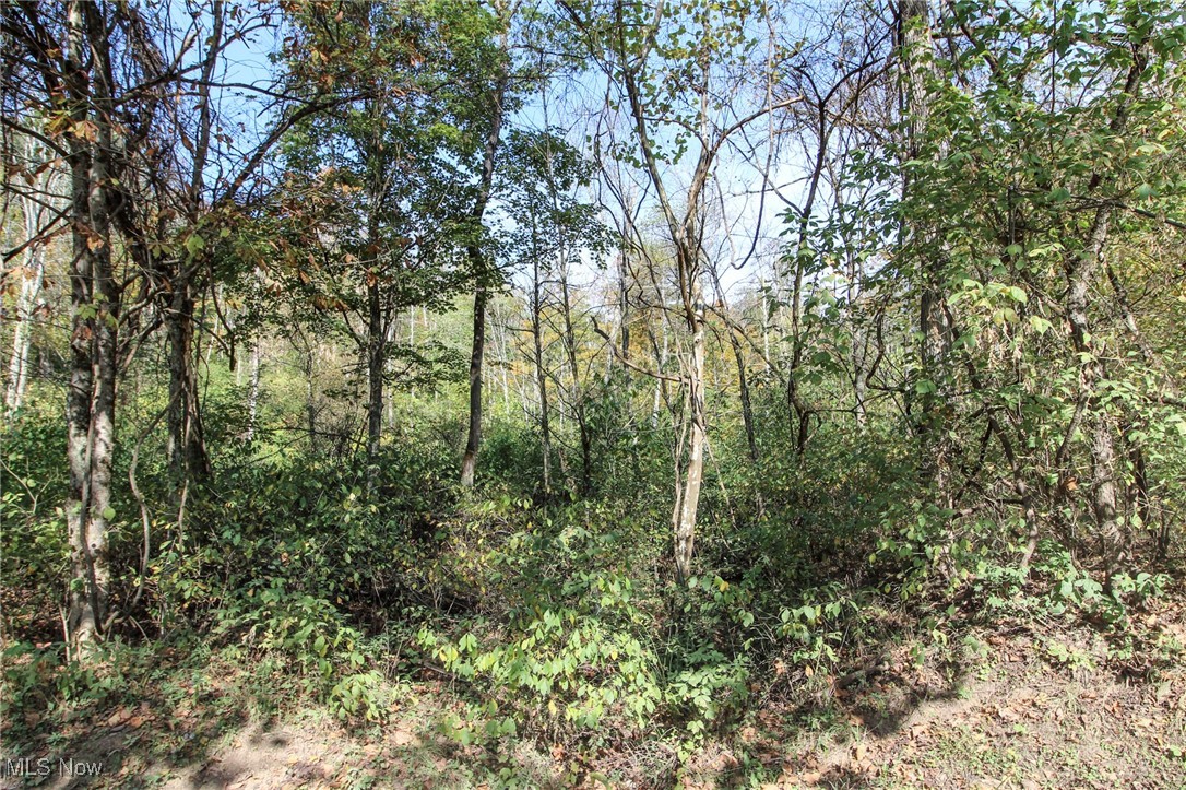 Lot 3 Brooks Road Reno, OH 45773 - Photo 9 of 17 View of tree filled area