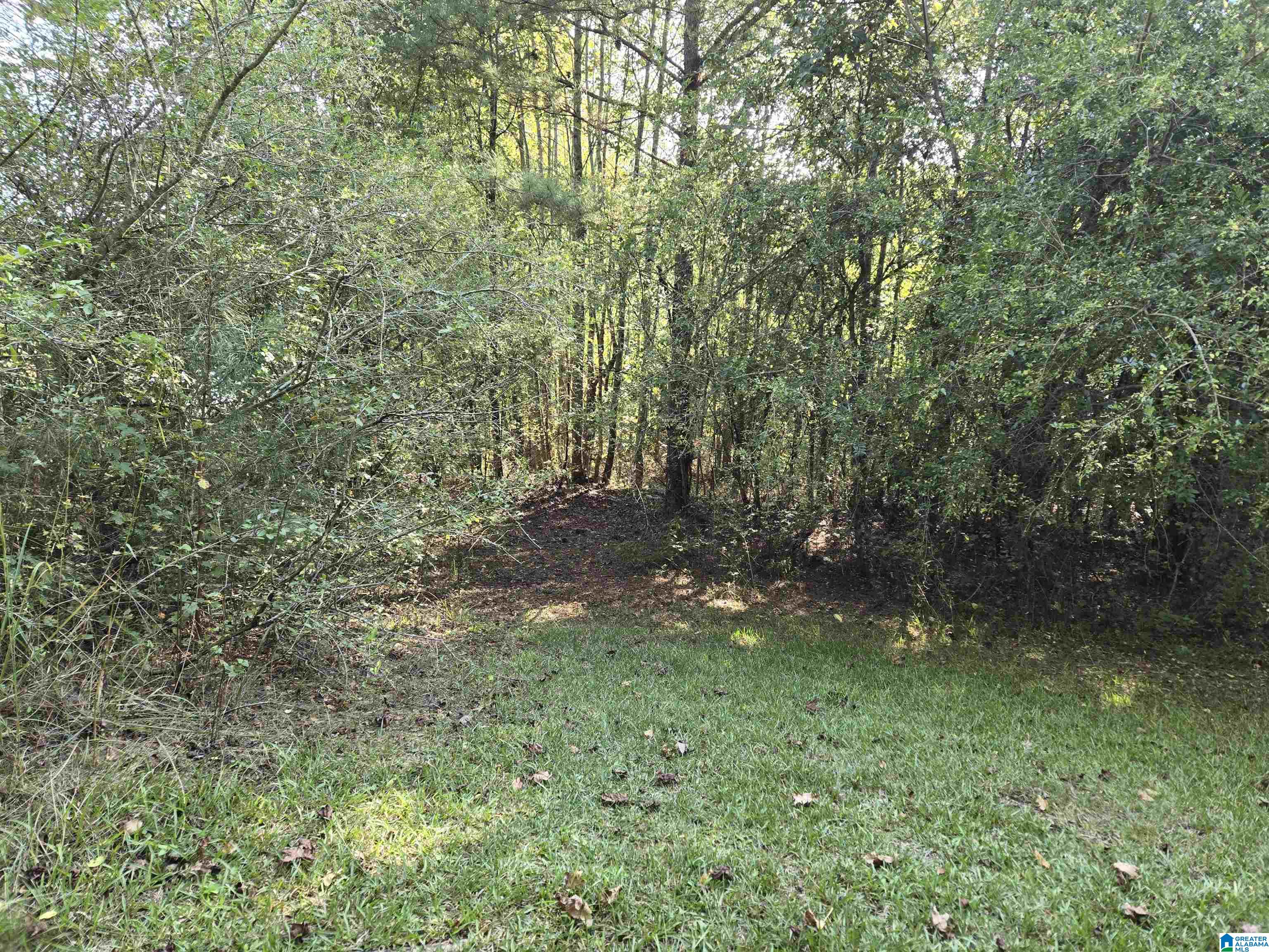 1135 Reneau Road Oneonta, AL 35121 - Photo 6 of 6