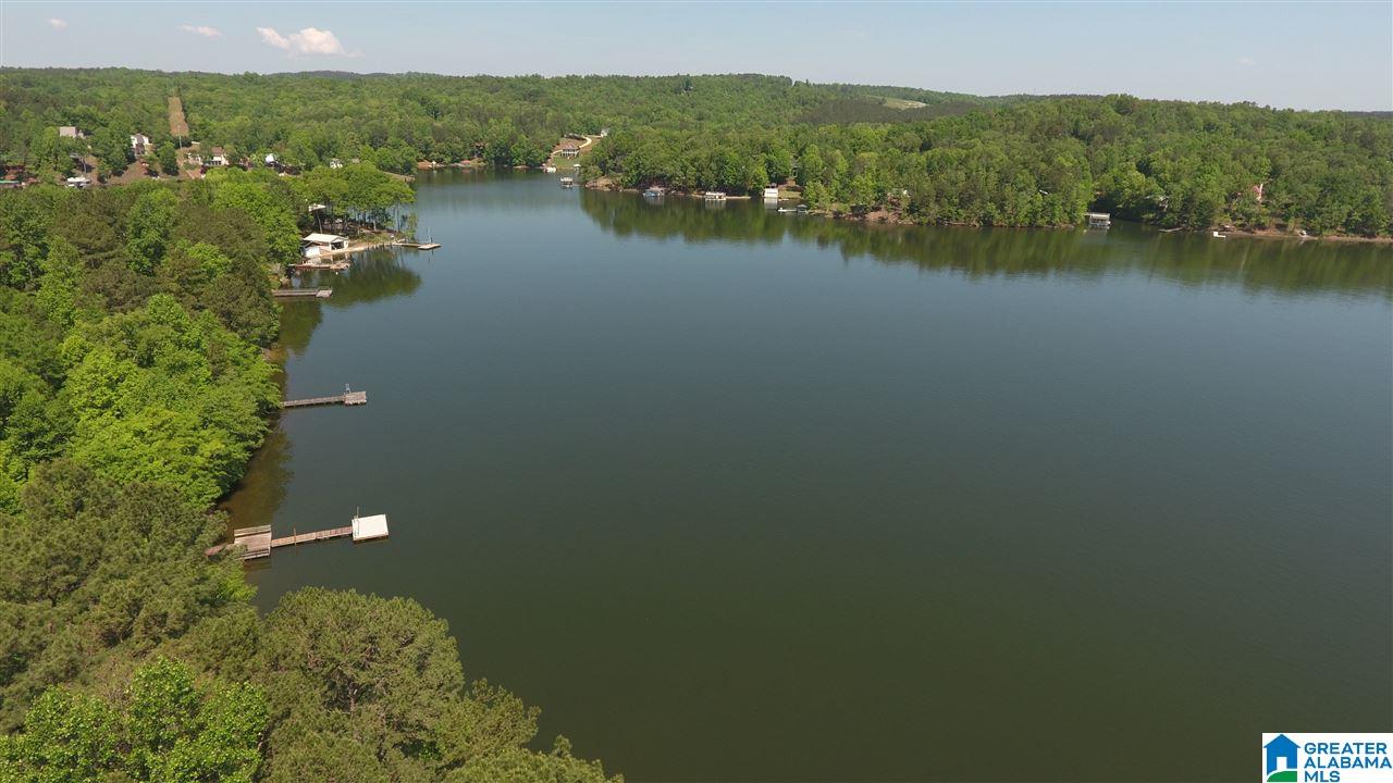 112 River Point Drive Wedowee, AL 36278 - Photo 13 of 15