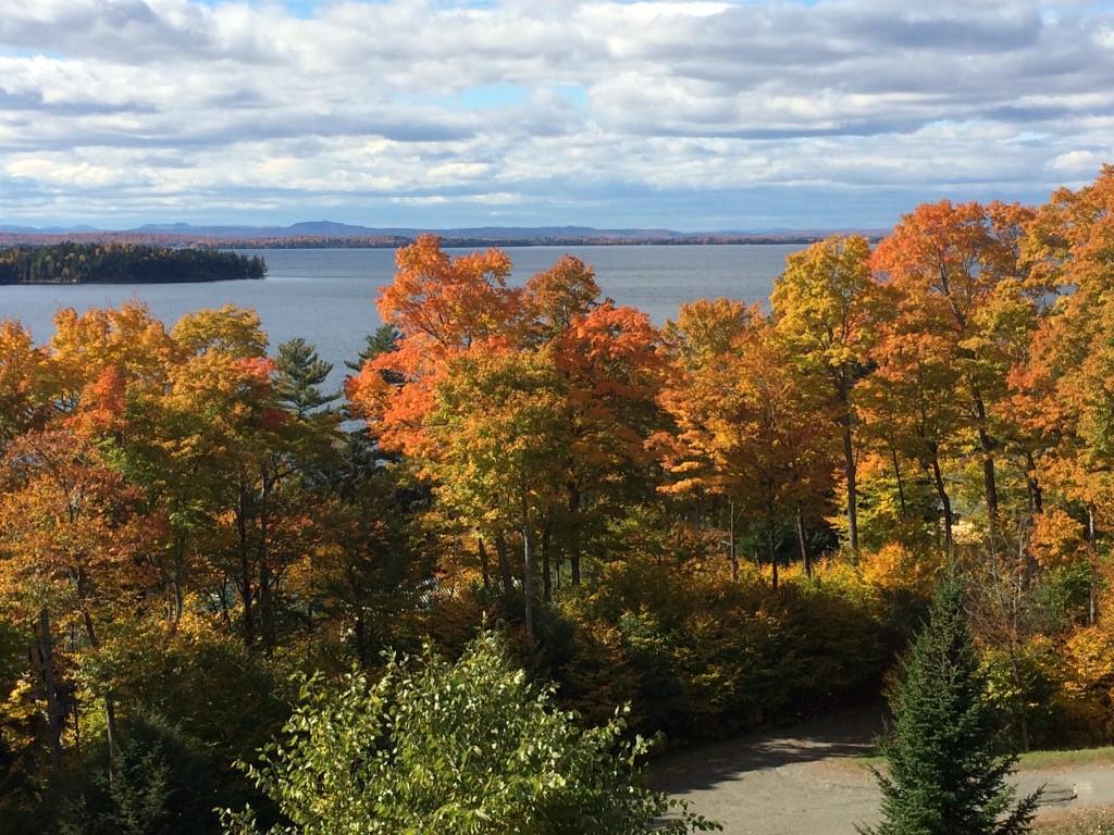339 Black Point Road Beaver Cove, ME 04441 - Photo 20 of 30 Photo