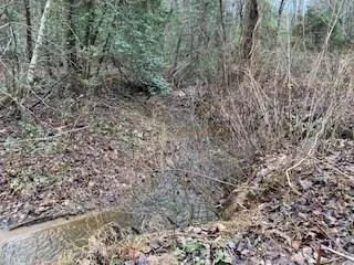 $55,900 | Lot 52 Llama Lane, Ellijay, GA 30540