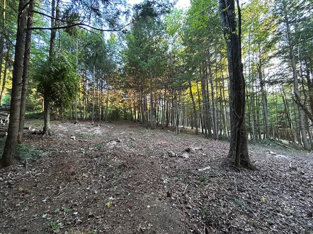 Lot #8 Kolm Road Garland, ME 04939 - Photo 14 of 23 IMG_6091