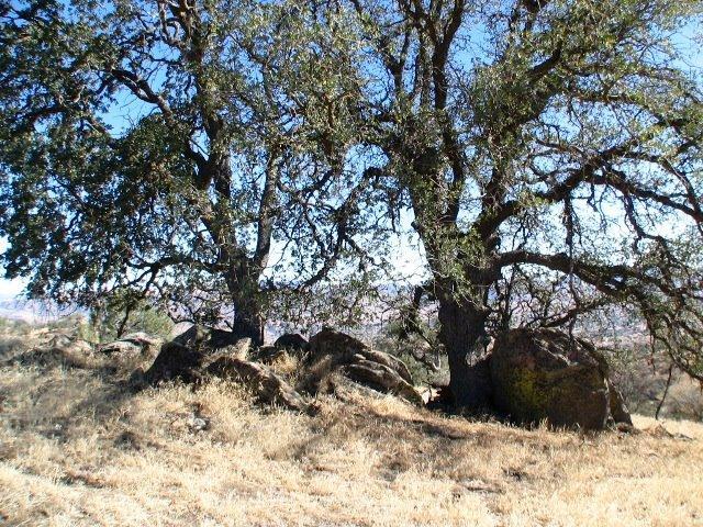 21040 Jury Ranch Drive Tehachapi, CA 93561 - Photo 15 of 23 Gallery Image 15