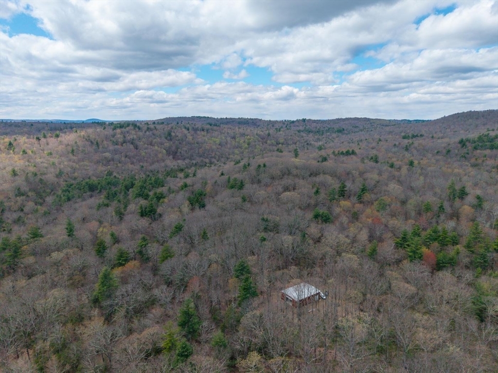 291 Fomer Road Southampton, MA 01073 - Photo 12 of 20 a view of a dry yard with trees