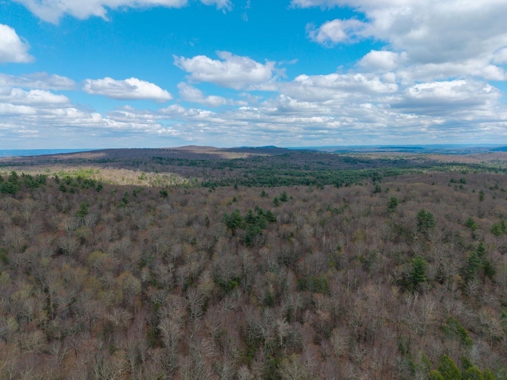291 Fomer Road Southampton, MA 01073 - Photo 14 of 20 a view of a field with trees in the background