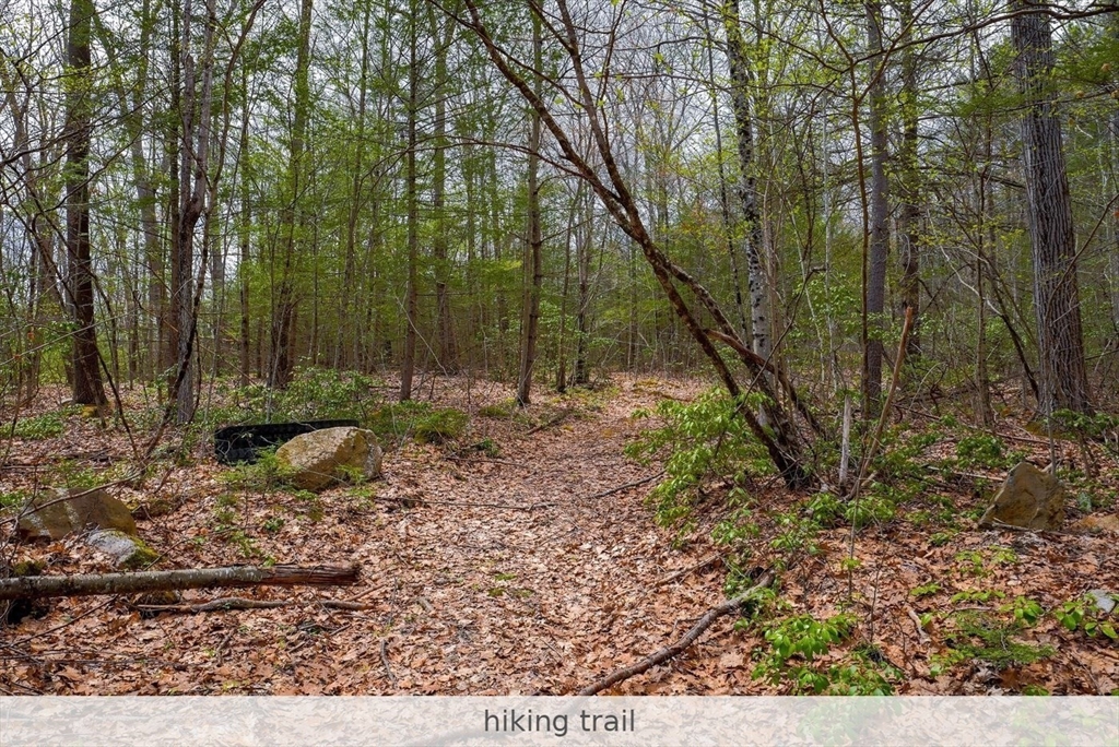 291 Fomer Road Southampton, MA 01073 - Photo 16 of 20 a view of backyard with green space