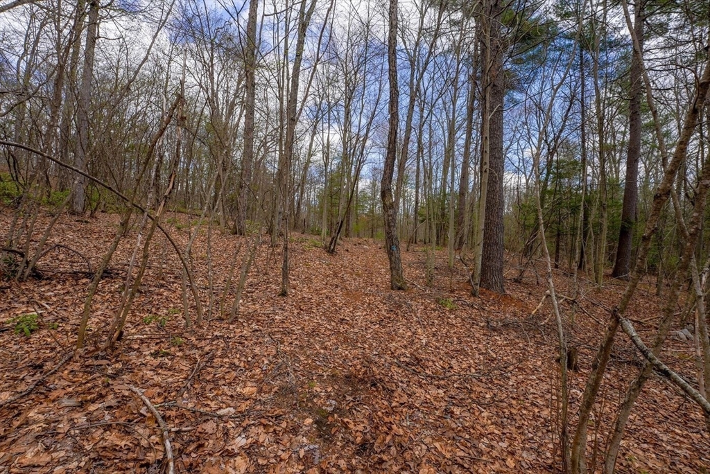 291 Fomer Road Southampton, MA 01073 - Photo 17 of 20 a view of outdoor space with lots of trees