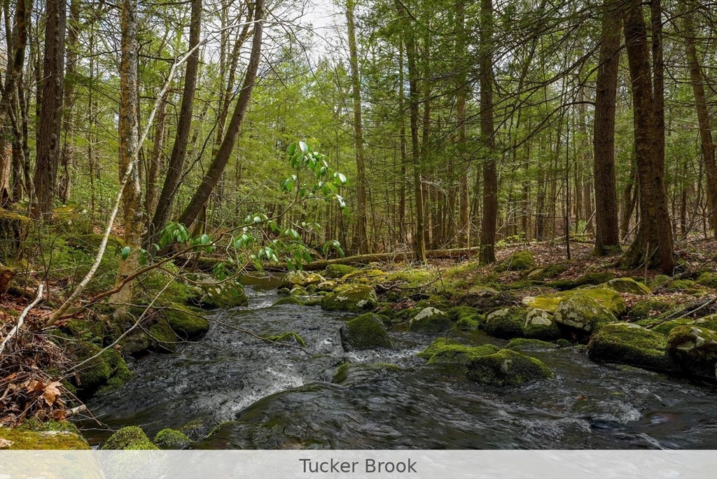 291 Fomer Road Southampton, MA 01073 - Photo 20 of 20