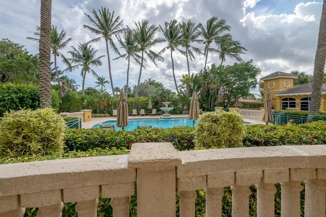 a view of a garden with palm trees