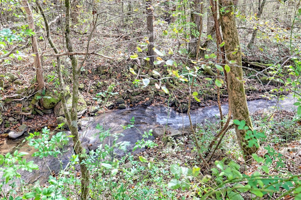1064 Muskrat Creek Road Hayesville, NC 28904 - Photo 48 of 61