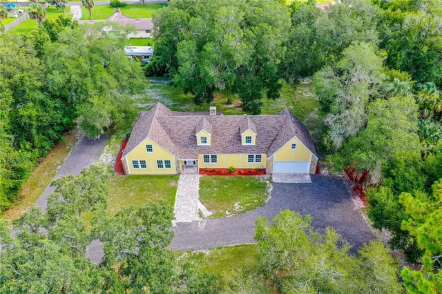 a view of a bunch of flowers in a yard