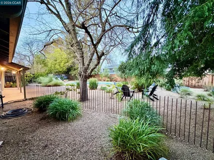 a view of a park with large trees