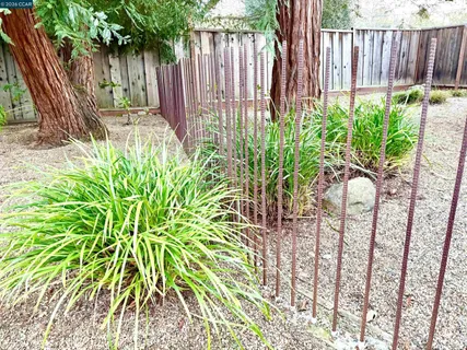 a garden with plants in front of it
