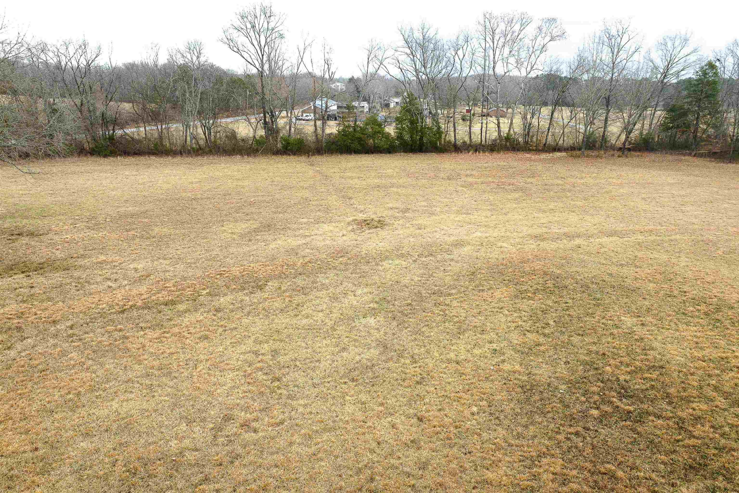 888 Old Perryville Road Parsons, TN 38363 - Photo 4 of 9 Photo 4