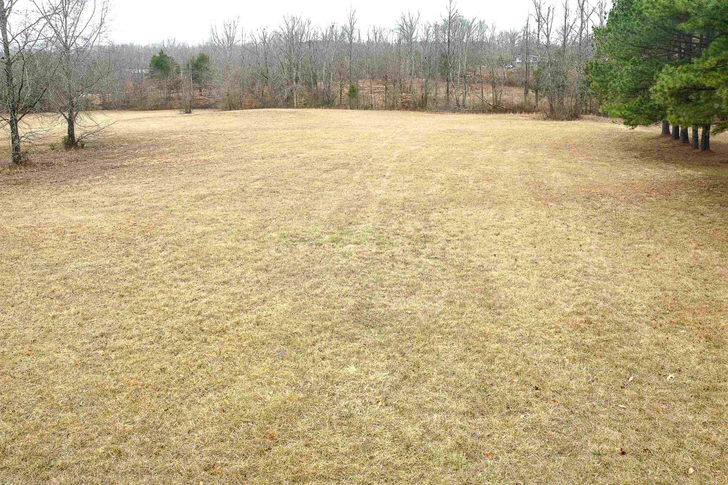888 Old Perryville Road Parsons, TN 38363 - Photo 6 of 9 Photo 6