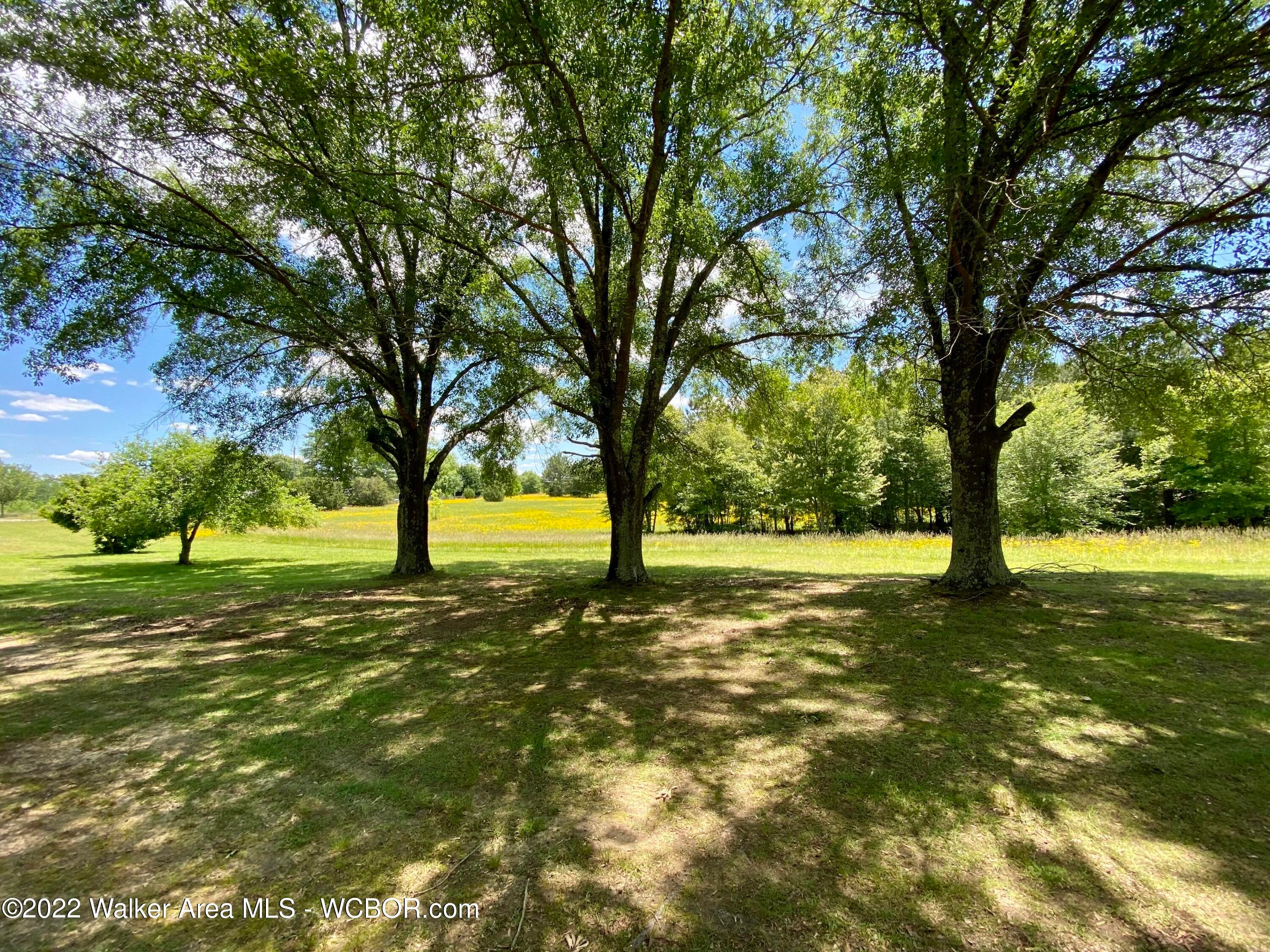 4677 Bird Farm Road Jasper, AL 35503 - Photo 5 of 26 Gallery Image 5