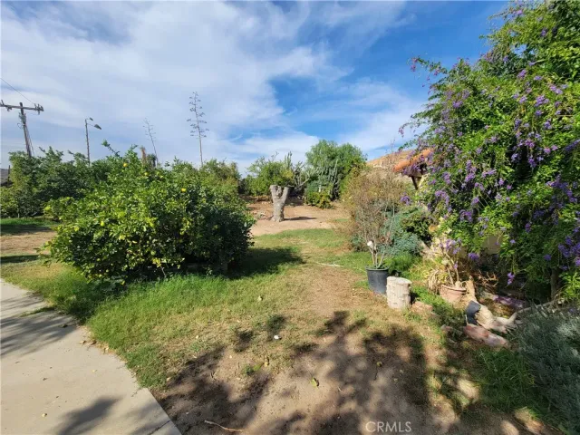a view of a yard with plants and a trees