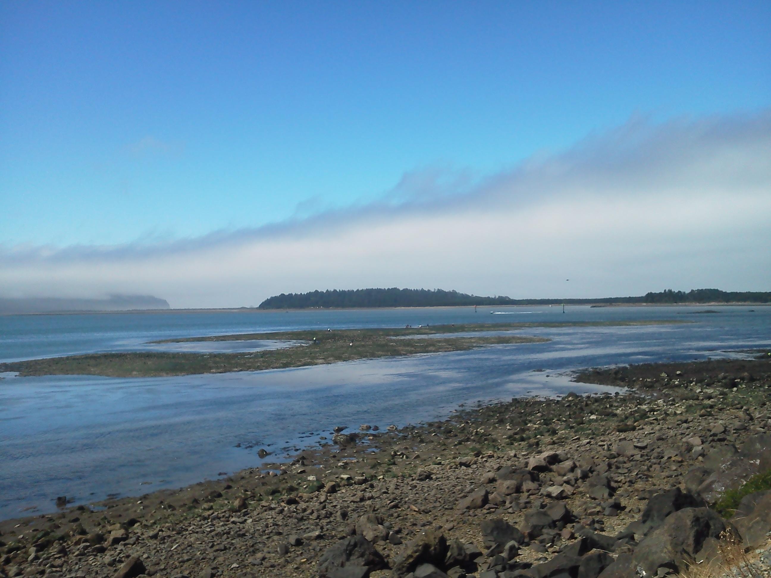 Bay Lane Garibaldi, OR 97118 - Photo 2 of 2 bay front lot