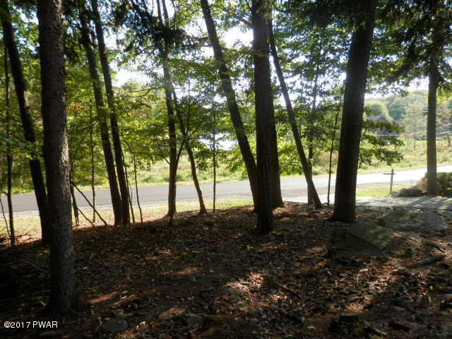 2401 Crest View Road Lake Ariel, PA 18436 - Photo 43 of 185