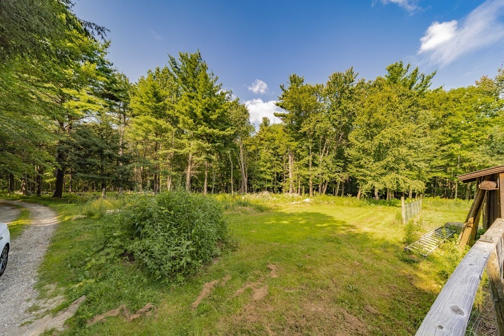 11 Clark Wright Road Middlefield, MA 01011 - Photo 6 of 30 a view of a yard