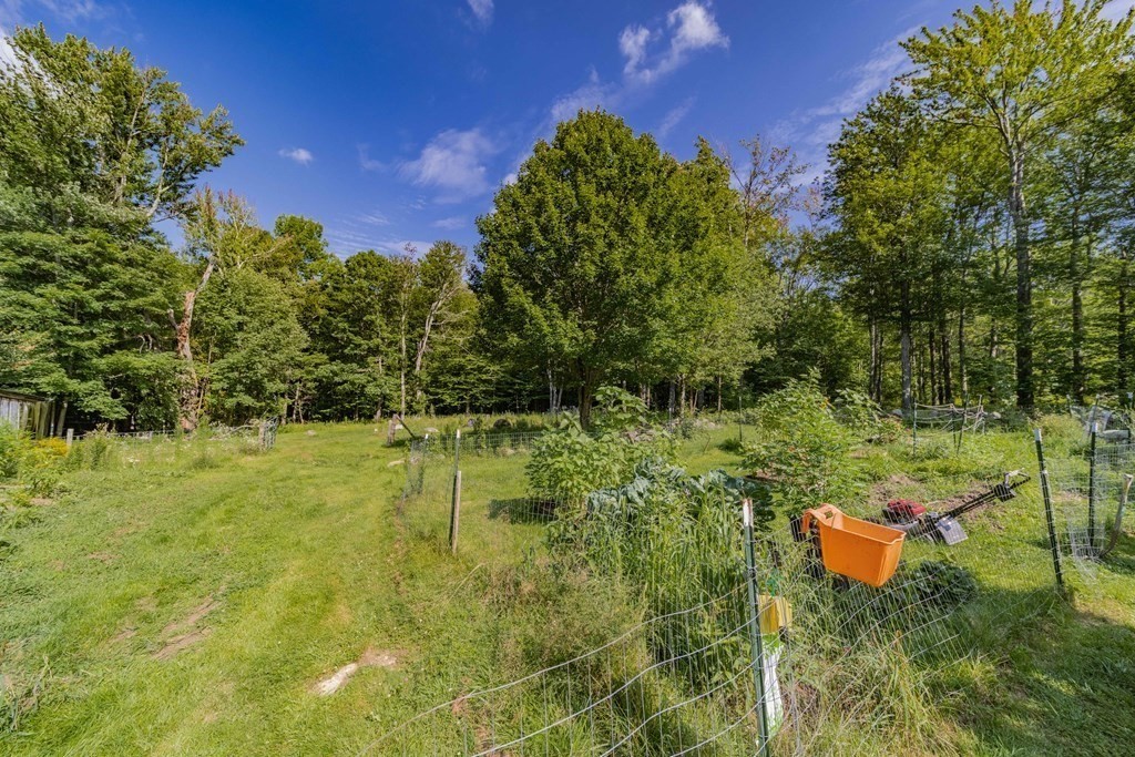 11 Clark Wright Road Middlefield, MA 01011 - Photo 9 of 30 a backyard of a house with lots of green space