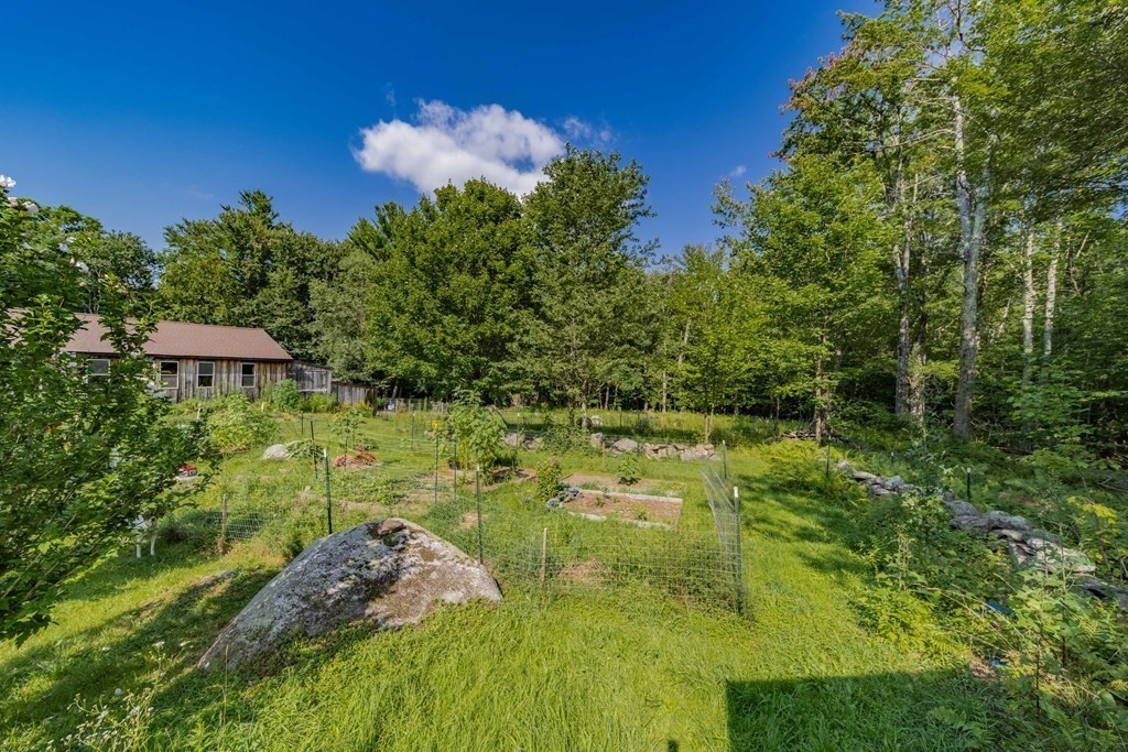 11 Clark Wright Road Middlefield, MA 01011 - Photo 10 of 30 a view of a garden with plants and a bench