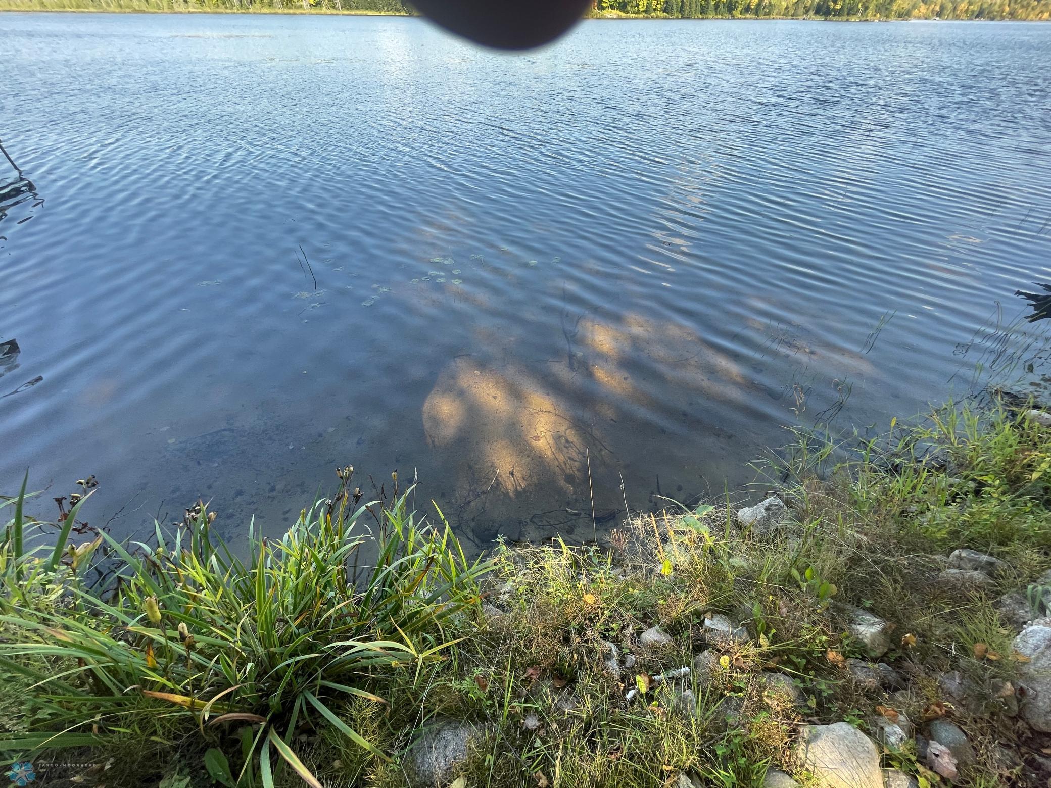 47304 Dallas Road Talmoon, MN 56637 - Photo 15 of 21