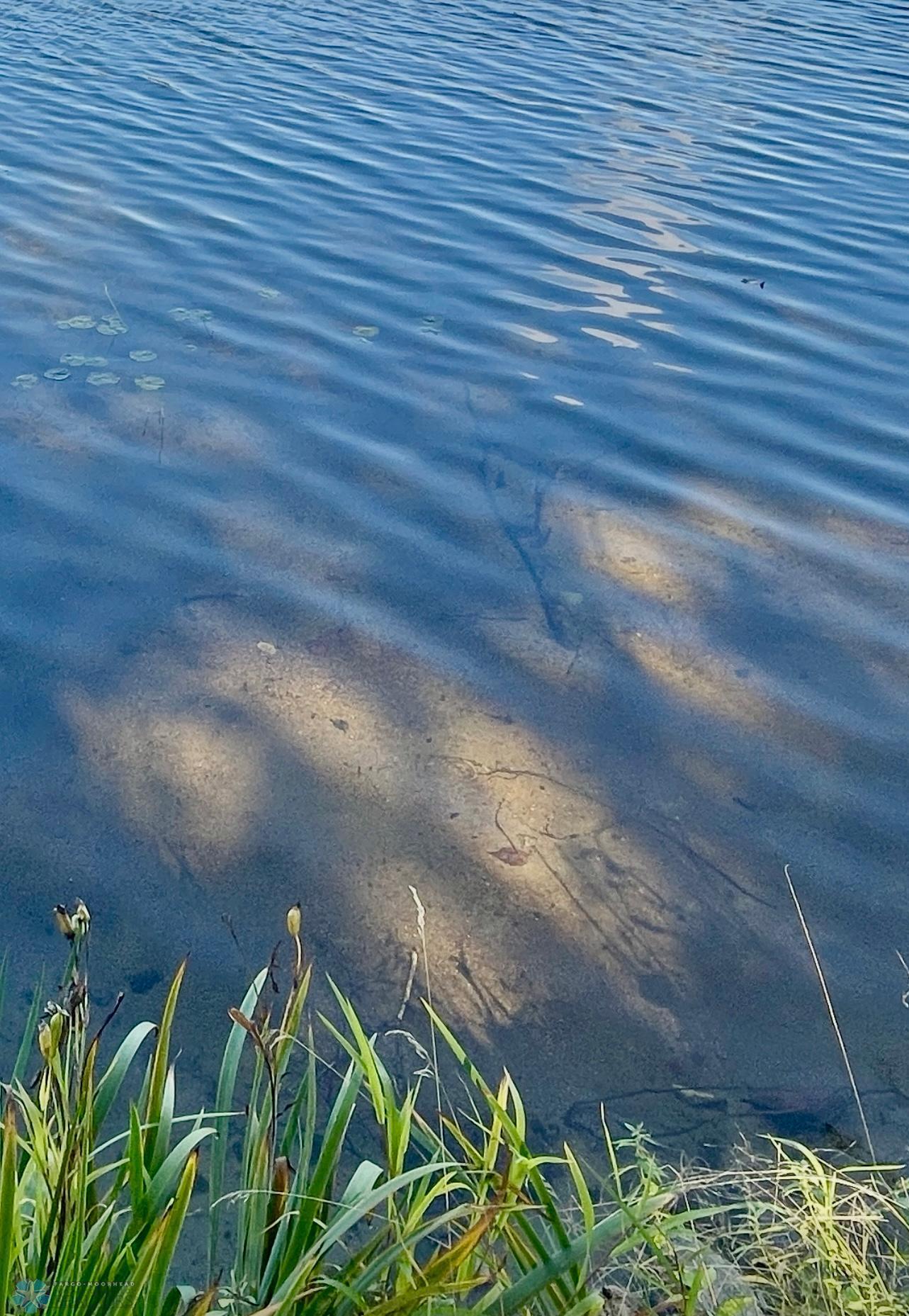 47304 Dallas Road Talmoon, MN 56637 - Photo 16 of 21