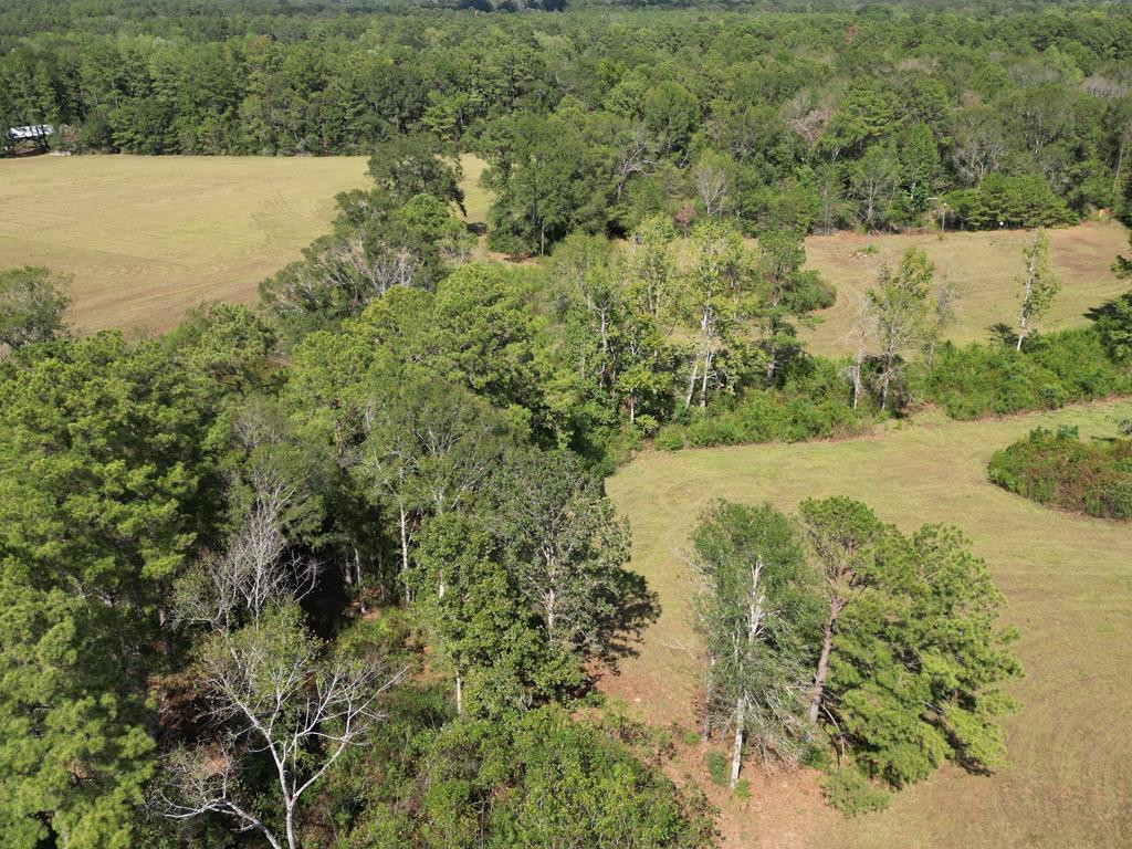 1074 Raborn Road Magnolia, MS 39652 - Photo 45 of 51 Photo 45