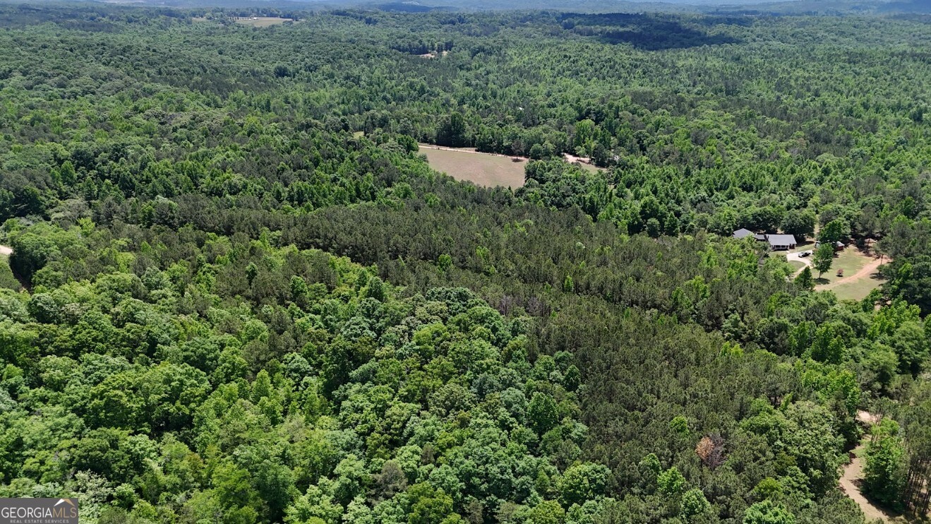 0 Creek Road, Unit LOT 2 Ashland, AL 36251 - Photo 16 of 20