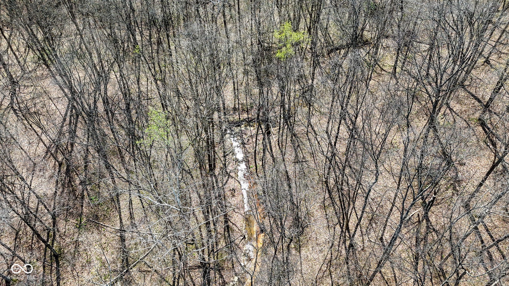 0 Hardin Ridge Road Bedford, IN 47421 - Photo 7 of 17