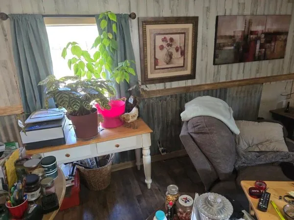 a living room with furniture and a potted plant