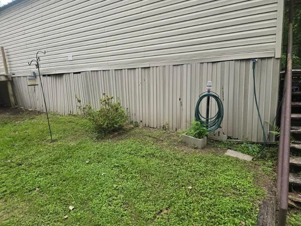 a close view of a backyard