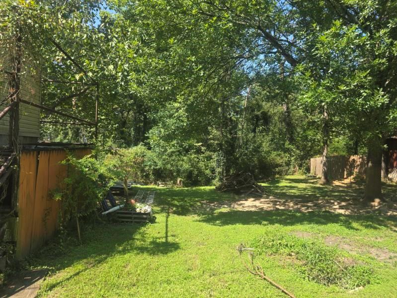 390 Campground Road Trinity, TX 75862 - Photo 5 of 37 Expansive green lawn with mature trees and dense foliage providing natural privacy
