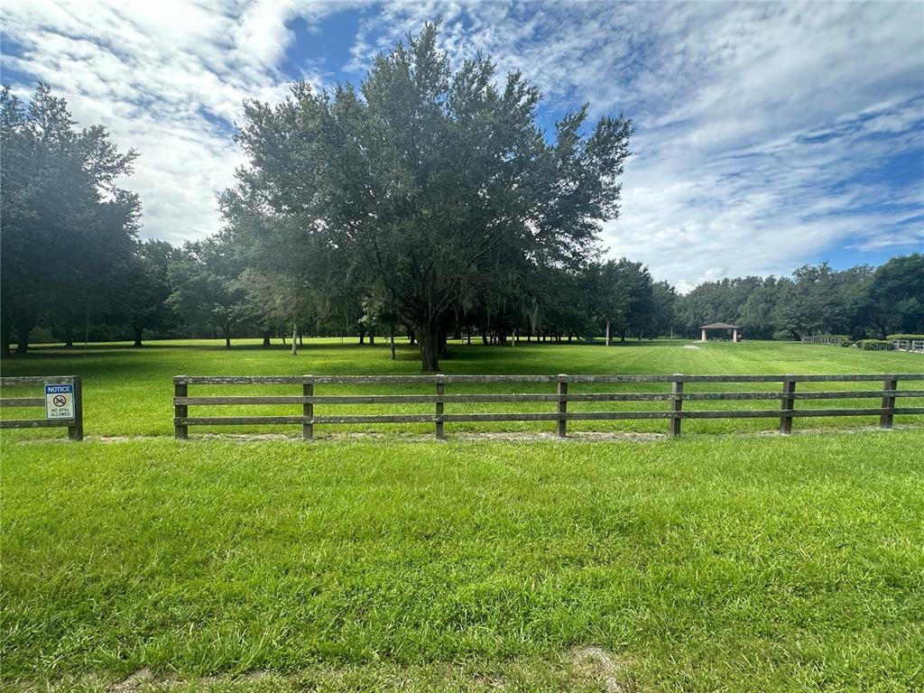 8692 Crested Eagle Place Sanford, FL 32771 - Photo 53 of 56 a view of a park