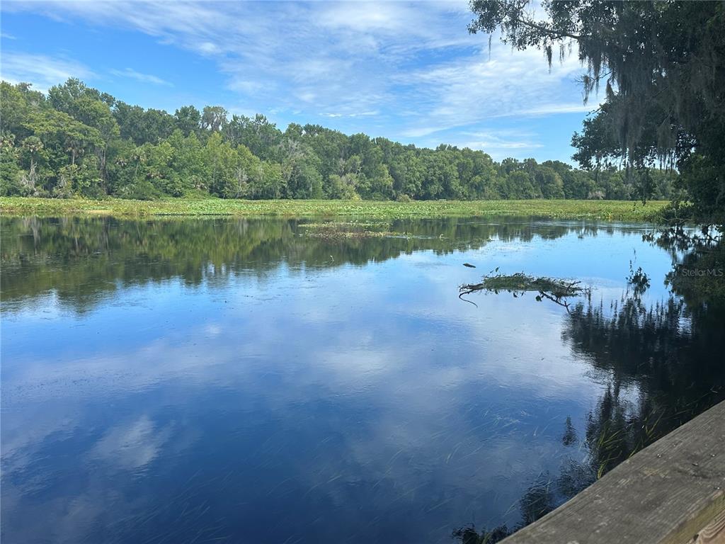 8692 Crested Eagle Place Sanford, FL 32771 - Photo 56 of 56 a view of a lake with a yard and large trees
