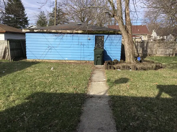 a view of a backyard that has plants and large tree