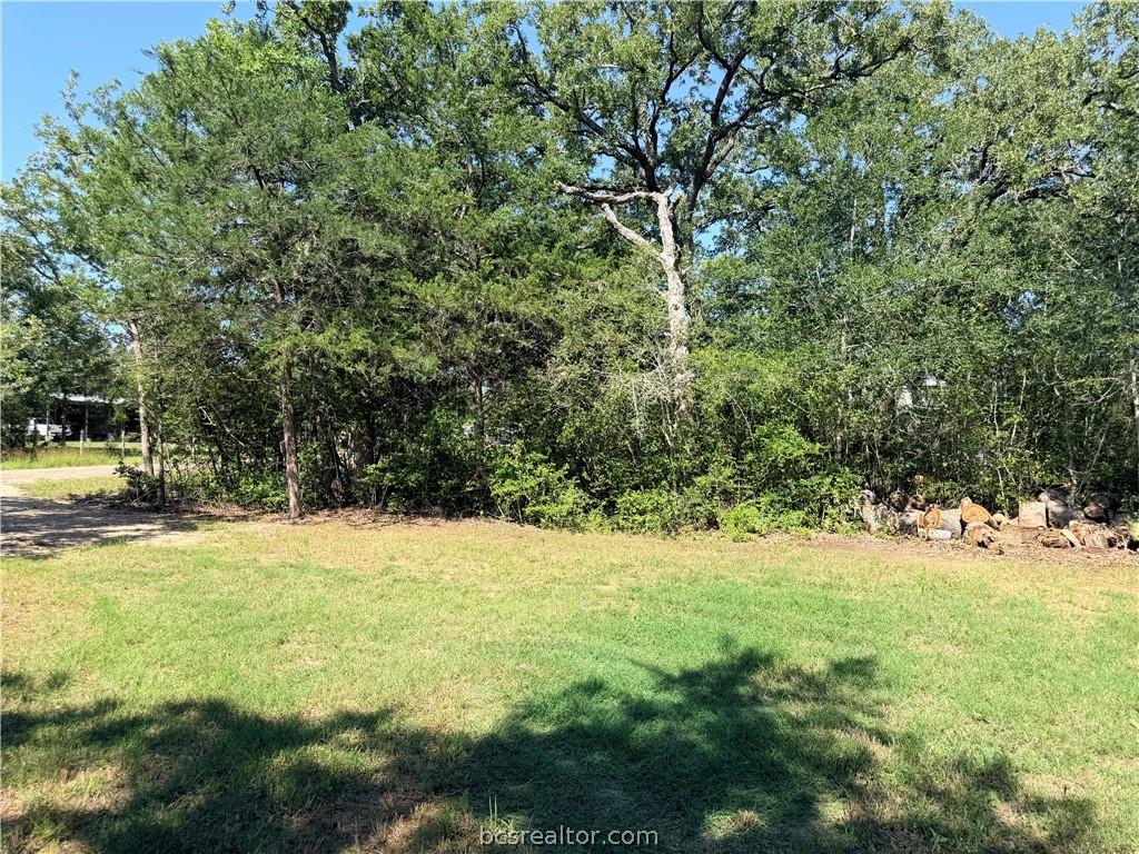 281 Redberry Road Somerville, TX 77879 - Photo 8 of 15