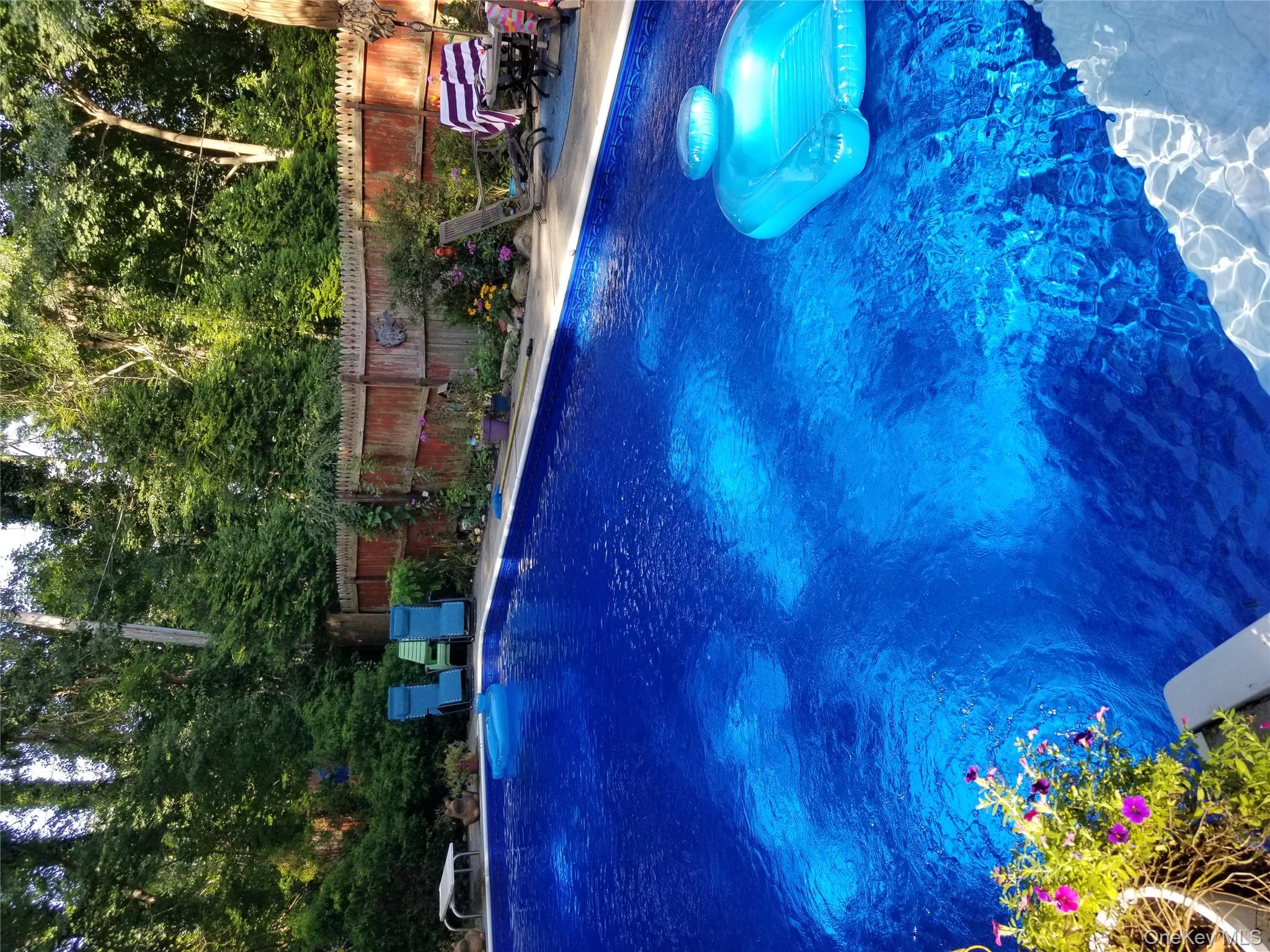 a view of a backyard with plants and a patio
