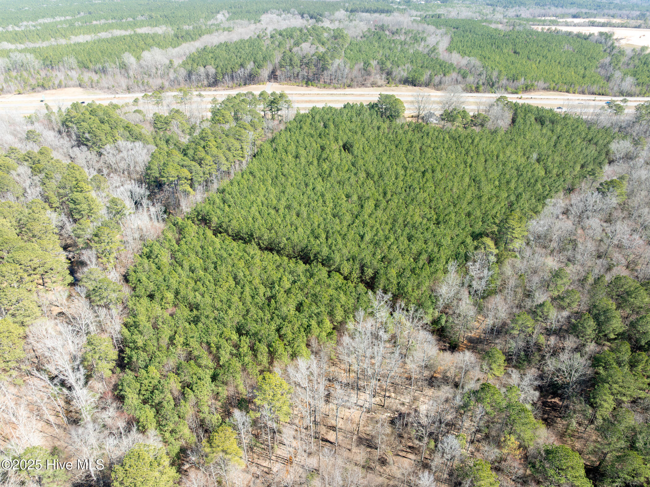 277 Old Woods Road Rockingham, NC 28379 - Photo 35 of 40 DJI_0271-Enhanced-NR