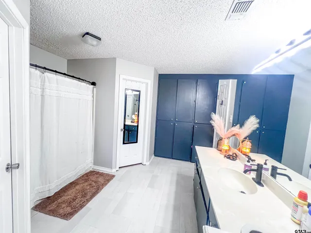 a bathroom with a sink a mirror and a shower