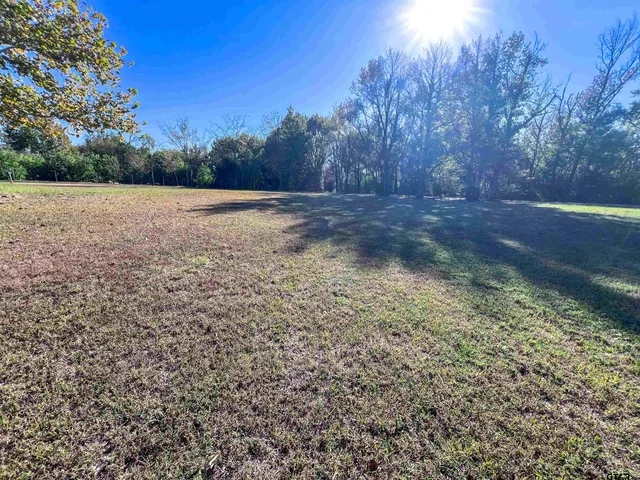 a view of backyard with green space