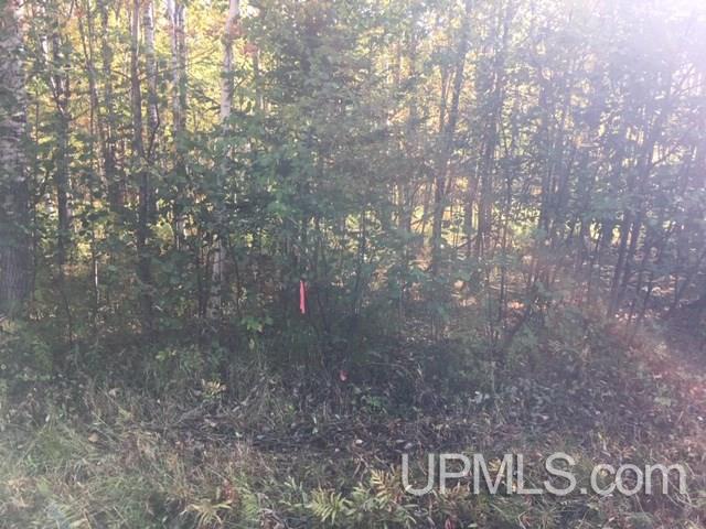 122 Rd Saxon V-wi Wi 54559 Road, Unit 10 ACS Ashland, WI 54806 - Photo 4 of 11