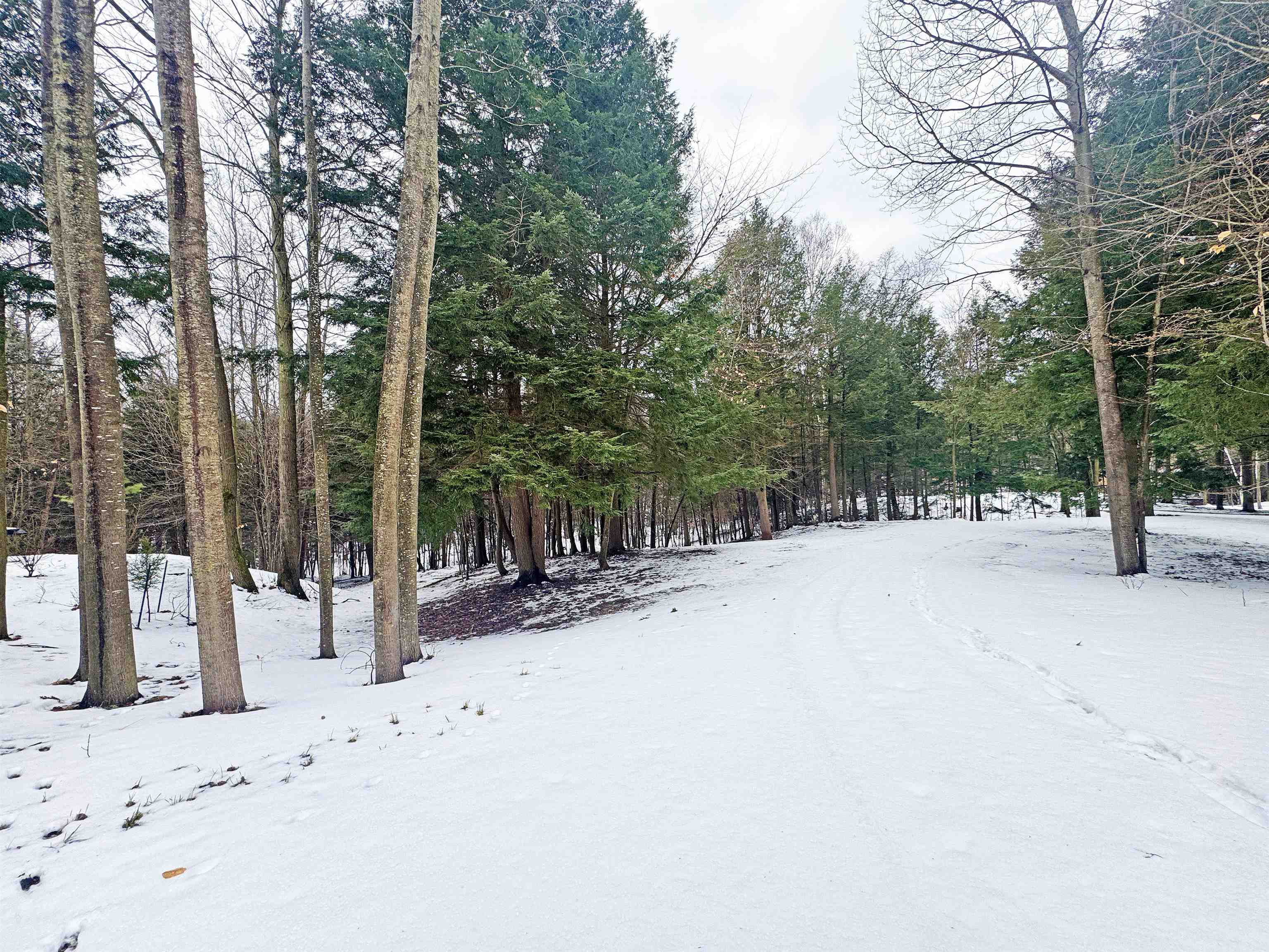 82-107 Moon Ridge Road, Unit LOT: 82,107 Onekama, MI 49675 - Photo 12 of 48