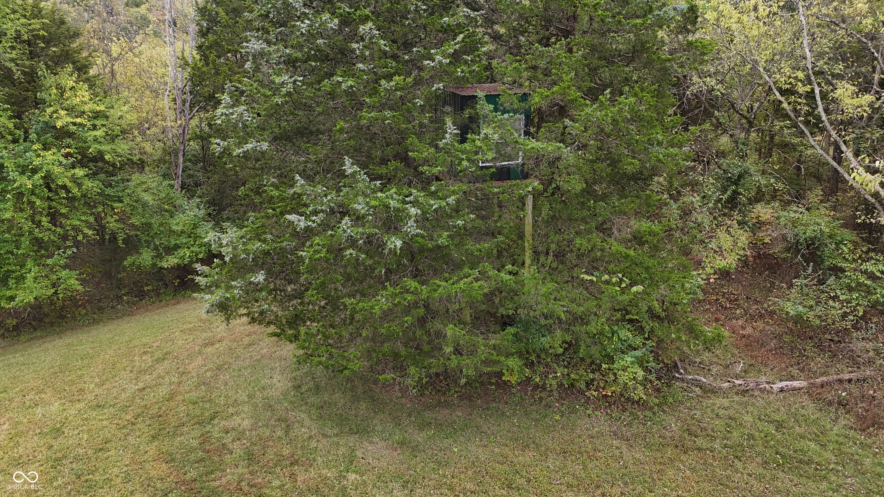 3896 Long Run Road Vevay, IN 47043 - Photo 108 of 137