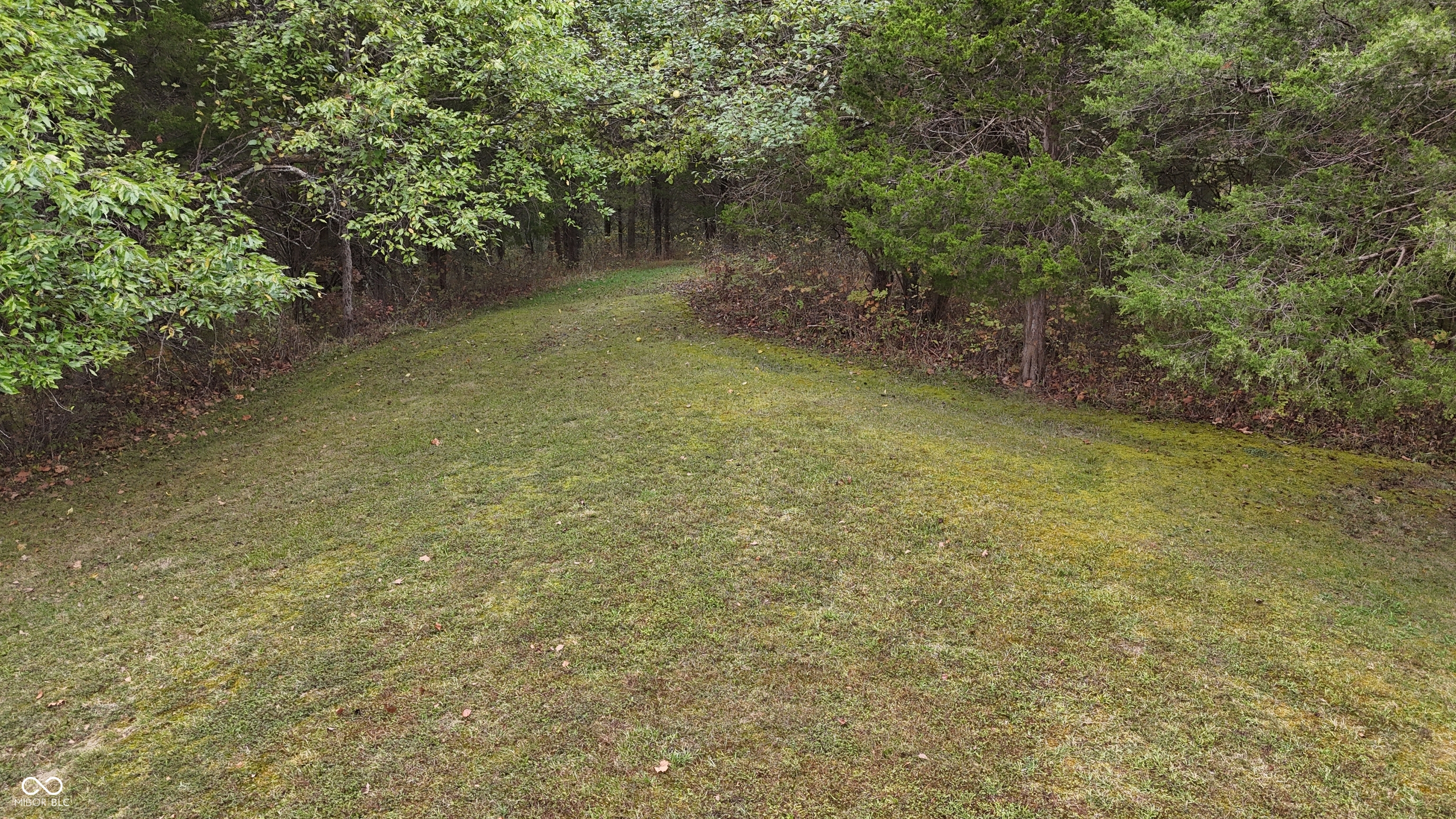 3896 Long Run Road Vevay, IN 47043 - Photo 114 of 137